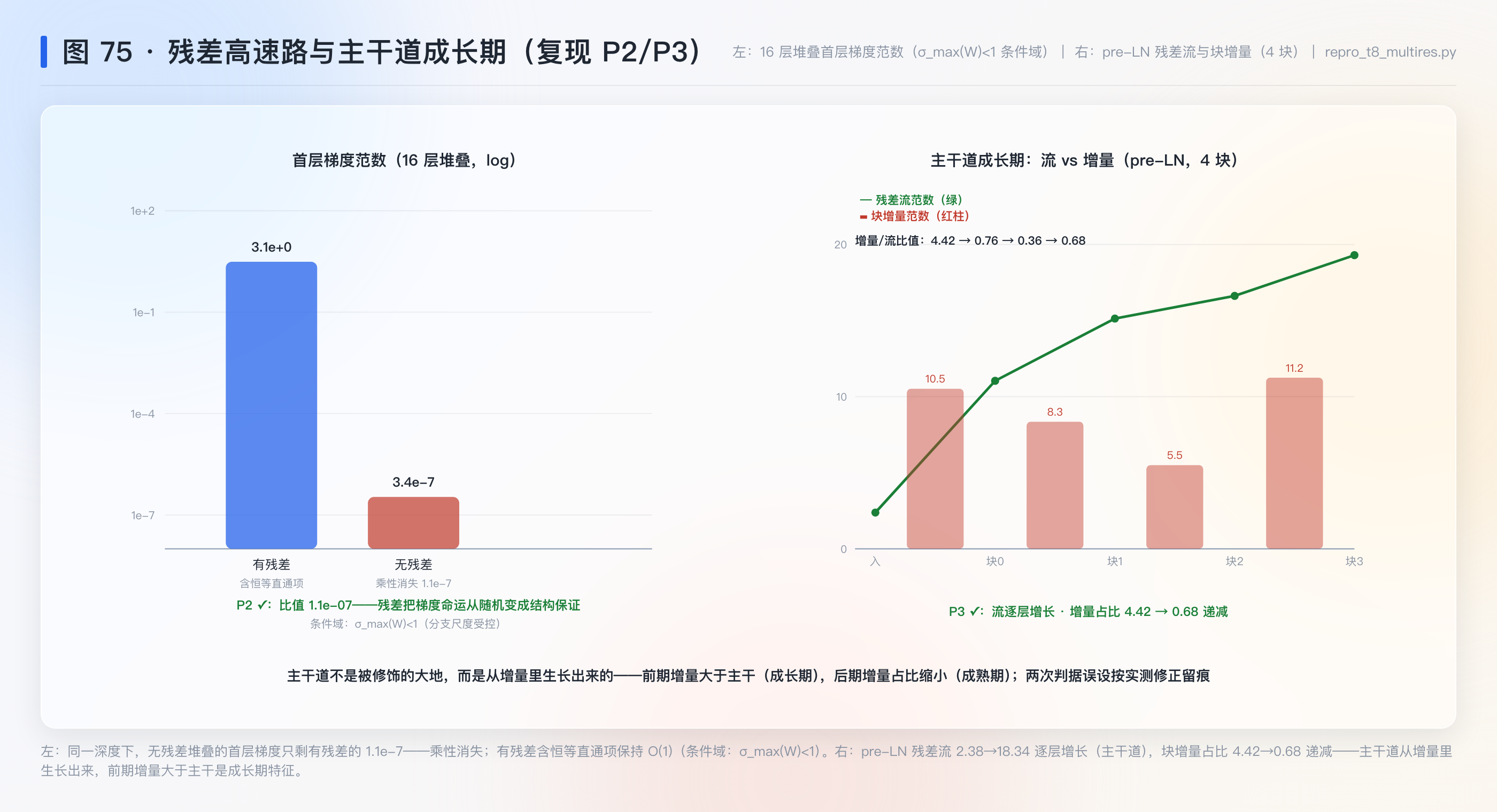 残差高速路与主干道成长期